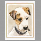 6 Parson Jack Russell Terrier Broken Coat Dog Blank Art Note Greeting Cards