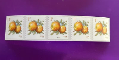 Scott #5037 1c Apples PNC5 Plate P222222 NEW NUMBER! MNH - APS Life Member - Image 1 of 2