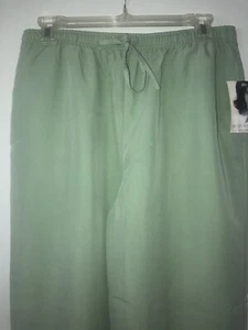 NEW w/tags - Women’s - Classic Pants - Sz M - Average Length -Light Green - Soft - Picture 1 of 3