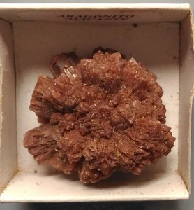 ARAGONITE CRYSTAL CLUSTER (AR26/44) mineral from Minglanilla, Spain - Picture 1 of 5