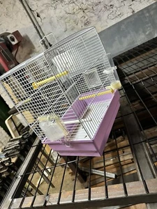 Cage Oiseaux - Photo 1/2