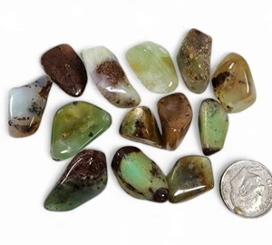 Chrysoprase Polished Stones Australia 33.6 grams. - Picture 1 of 1