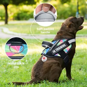 Chaleco de servicio para perros + etiqueta para perros + 6 parches, Bestalk ligero en entrenamiento para perros XL - Imagen 1 de 3