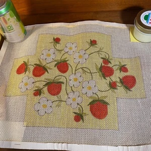 Kit punto ago copri mattoni fragola con filato lana persiana e tela - Foto 1 di 5