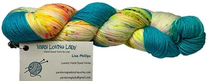 Yarn Loving Lady Hand Dyed Yarn Color Groovy Wool Nylon Fingering Sock 463 Yds - Bild 1 von 3