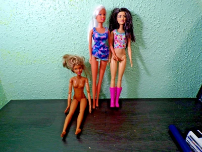 Barbie Hecha para Moverse Hispano Asiático Fashionista Simba Muñeca Lote Foto 1 de 4