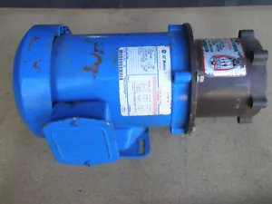 BOMBA DE ACCIONAMIENTO MAGNÉTICO MARCH TE-7K-MD CON MOTOR 5K36MN342 3/4 HP 3 PH 208-230/460V - Imagen 1 de 12