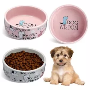 2 Pcs 5 Inch Ceramic Dog Bowl Cartoon Pattern Cat Bowl Dog Food Bowls Cute - Picture 1 of 7
