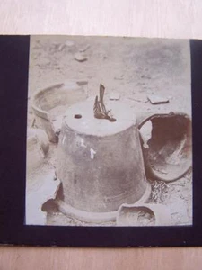 Stereoview Stereo View - Birds Bird Nest Coal Tit In Plant Pot - Picture 1 of 1
