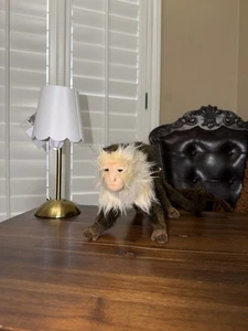 2015 HANSA Realistischer Kapuzineraffe Stofftier Plüschtier stehend braun - Bild 1 von 7