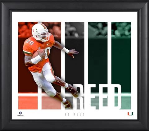 Ed Reed Miami Hurricanes Framed 15" x 17" Player Panel Collage Cover