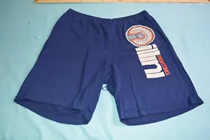 Vintage Illinois Fighting Illini Sweat Shorts Hummer Sportswear Made in the USA - Picture 1 of 10