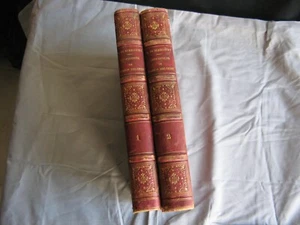 Livres anciens en 2 volumes Confession de Marion Delorme sur Louis XIII 1856 - Imagen 1 de 12