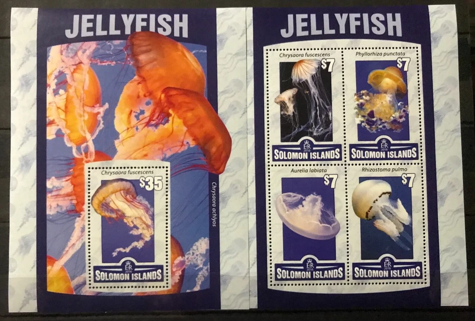 Solomon Island - 2016 - Jellyfish / Marine Fauna  on - stamps MNH** - B303 - Image 1 of 1