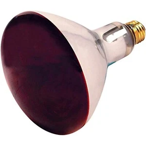 Westinghouse R40 Infrared Heat Lamp Unlensed 250 W E26 Medium Base Red Boxed - Picture 1 of 1