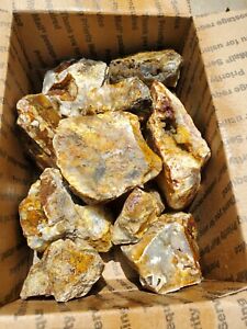 Graveyard Point Plume Agate Oregon Premium Rock 9 Pounds Total See Video