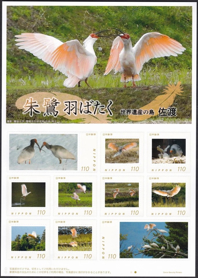 Hoja de sello personalizada de Japón, ibis 110y (jps4613) Foto 1 de 1