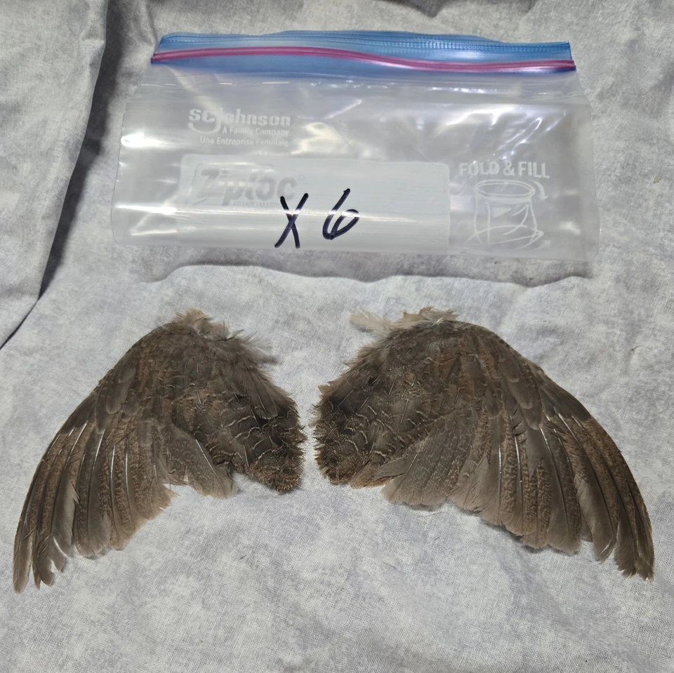 1 комплект перепелиных крыльев - x6 - Изображение 1 из 1