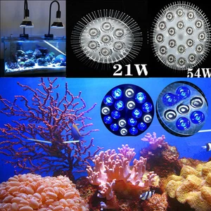 E27 21W 54W Pa38 6white 12blue LED Coral Reefs Fishes Tank Aquarium Light Bulb - Picture 1 of 4