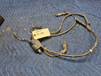 Suzuki SV 650 SV650 L 2017 bobinas conjuntos de montaje de bobinas Foto 1 de 4