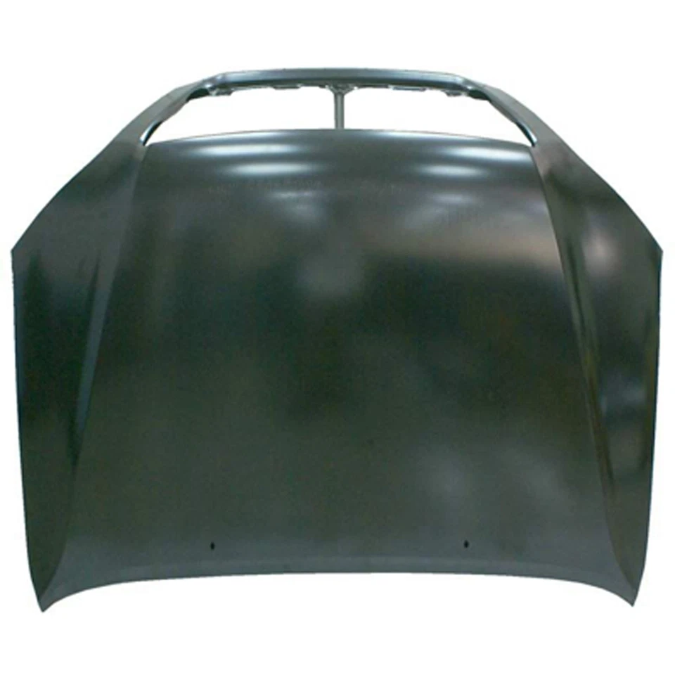 New Hood Panel OEM Factory Fits 2003-2009 Lexus GX470 — 第 1/1 张图片