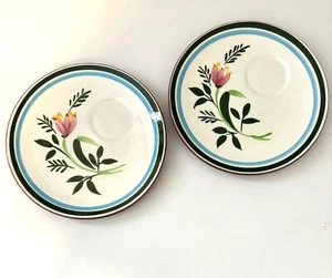 Pair Stangl Country Garden Snack Plates Hand Painted w Round Wells for Cups 8" - Picture 1 of 5