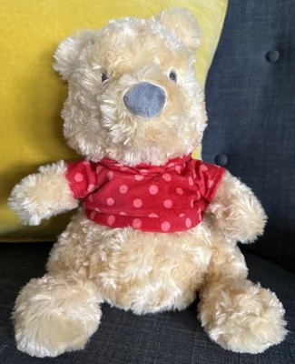 Disney Baby First Winnie the Pooh Peluche Peluche Sello Excelente Raro WoW!! Foto 1 de 4