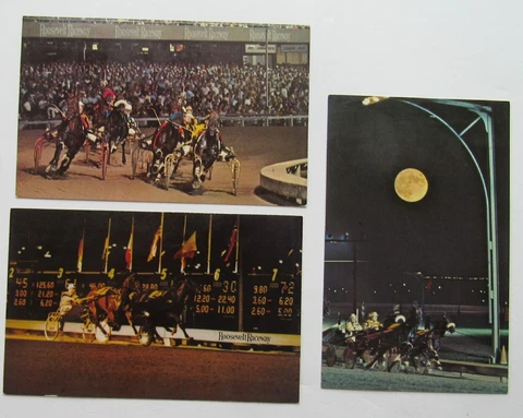 Roosevelt Raceway Long Island 3 Piece Postcard Lot Cover