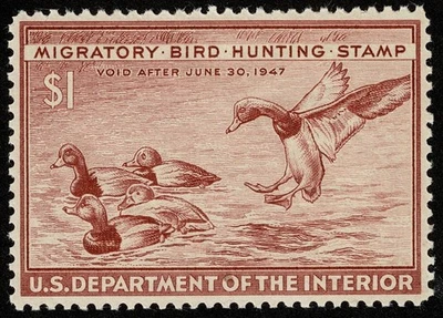 US Stamp Scott#RW13 $1 Back of Book Federal Duck Mint NH OG Well Centered - Image 1 of 2