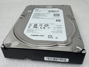 Disco duro de vigilancia HD Duhua Seagate ST6000VX0003 SkyHawk 6 TB 256 m SATA 3,5" - Imagen 1 de 14