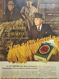 Lucky Strike Cigarette Tobacco Warehouseman Alf Webster anuncio impreso de colección 1938 - Imagen 1 de 5