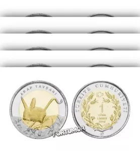 Turkey 1 Lira 2016 Jerboa, 5 Pcs LOT, Commemorative Bimetal, UNC Coin - Picture 1 of 3