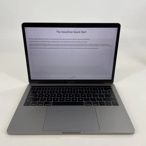 MacBook Pro 13 Space Gray 2016 3.1 GHz Intel i5 6th Gen. 8GB 256GB Reflect Wear - Picture 1 of 12