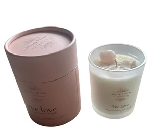 Vela de cristal de cuarzo rosa The Tiny Balcony 6 oz cera de soja cítricos ciruela azúcar - Imagen 1 de 5