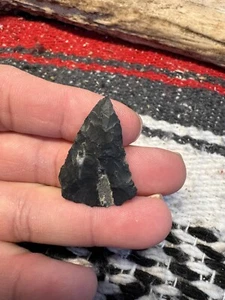 Madison Pfeilspitze Waldzeit Rockingham County Virginia. B52 - Bild 1 von 18