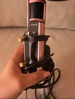Used ZealSound USB Portable Pink Podcast Mic, mint condition - Image 1 of 4