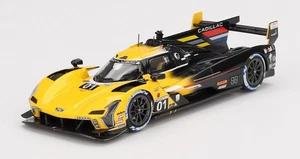 TSM MODEL, CADILLAC V-Series.R #1 IMSA 24H Daytona 2024 S.BOURDAIS-S.DIXON-A.... - Foto 1 di 3