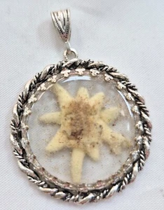 Antik kettenanhänger Silber 925 Alpen Edelweiß Trachtenschmuck echte Blume - Bild 1 von 12