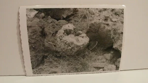 1950S VINTAGE FOUND PHOTOGRAPH PHOTO B&W BLACK & WHITE CALIFORNIA DESERT SCENE - Picture 1 of 4