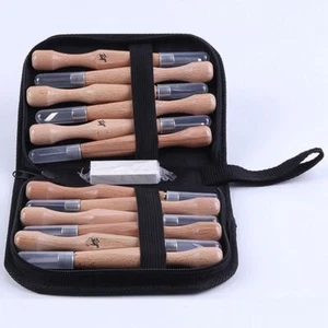 12pcs/1set Wood Carving Tool Set SK7 Carbon Steel Cutter Kit Pro Stronger Sharp - Picture 1 of 12