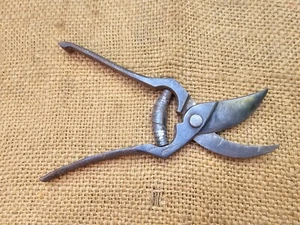 SELTENE DEUTSCHE "SCHMELZER" REBENSCHNITT SCHNEIDER SCHERE TRAUBE GARTENWERKZEUG - Bild 1 von 10