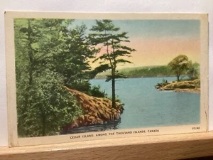 Cedar Island: Thousand Islands, Canada - Vintage Postcard - Picture 1 of 3
