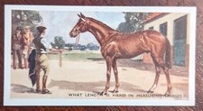 1939 Carreras Ltd Do You Know - What Length Is Hand In Measuring Horses?