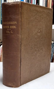 History of British Birds - William MacGillivray - Volume 3 ONLY - HC 1840 - Imagen 1 de 8