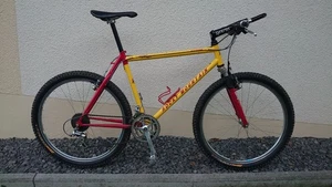 1992 Rocky Mountain Altitude MTB, original Zustand! - Bild 1 von 3