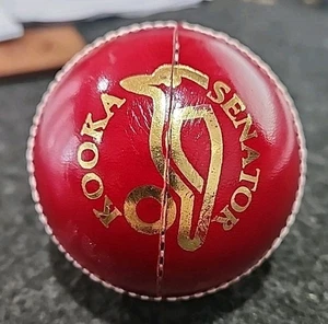 Kookaburra Senator Red - 4 piece  Cricket Ball Senior. NEW - Picture 1 of 8