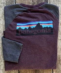PATAGONIA ORGANIC COTTON P-6 LOGO CREWNECK SHIRT GRAY RED MULTI MENS MEDIUM EUC - Picture 1 of 12