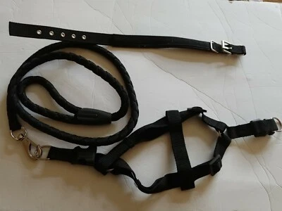 Correa para perro mascota Foto 1 de 4