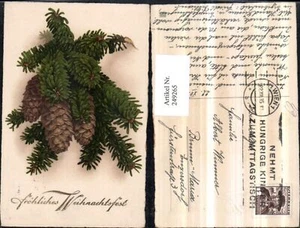 249265,Weihnachten Tannenzweige Zapfen - Bild 1 von 1