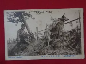 Japan Vorkrieg 2. Weltkrieg Bild antike Postkarte Deutscher Schäferhund Hund Militär kostenloser Versand - Bild 1 von 3